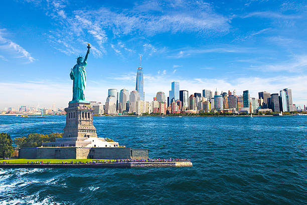 Top OPT-Friendly Courses for International Students in the USA