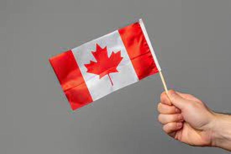 Top Universities and Courses in Canada for International Students