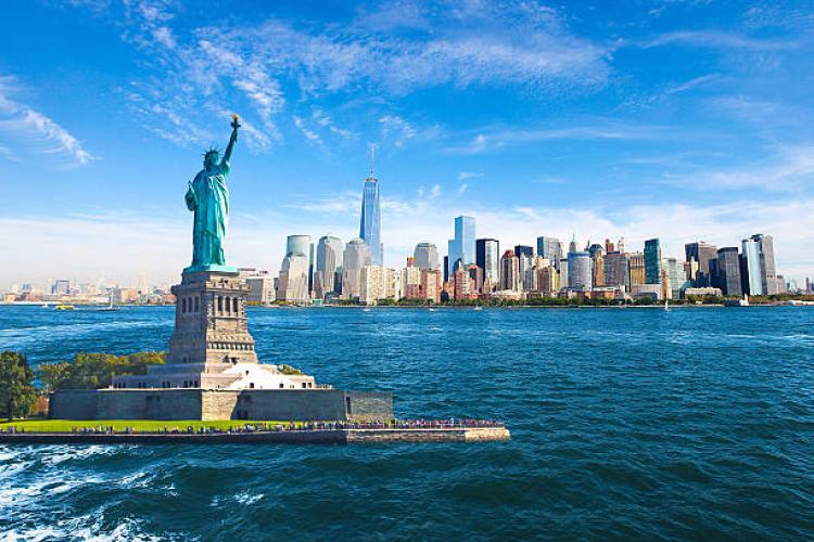 Top OPT-Friendly Courses for International Students in the USA