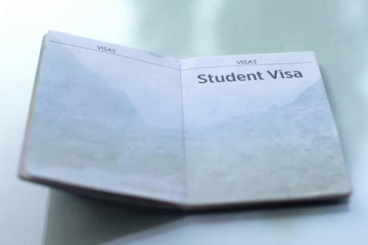Visa Success Rate for Study Abroad: Trends, Stats & Strategy